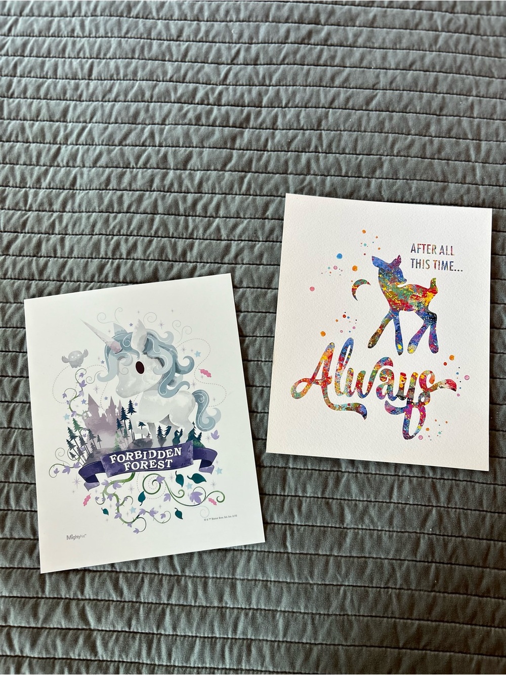 Harry Potter themed 8x10 prints - Set of 2